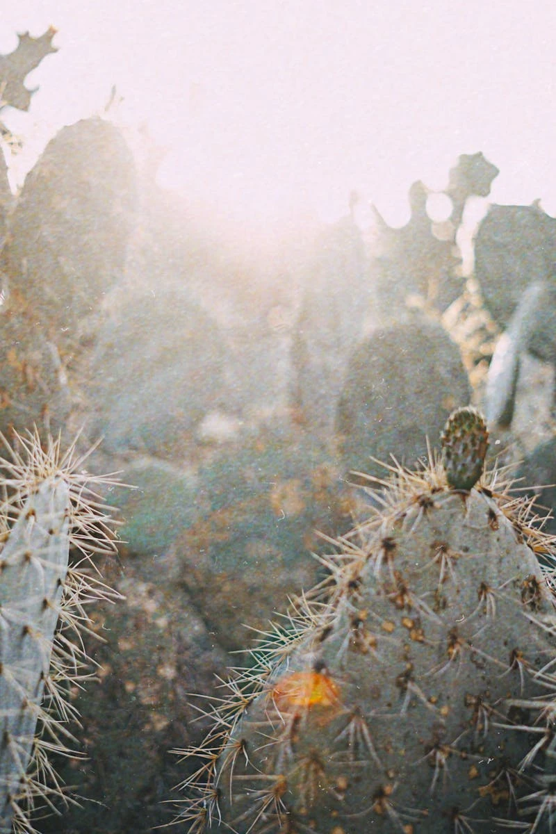 Cinematic editorial frame — strong horizontal lines